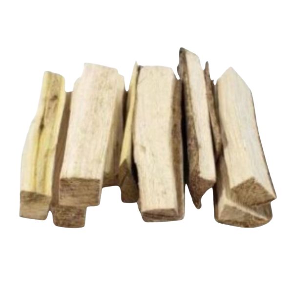 MAMA CADELA - (BROSIMUM GAUDICHALL)